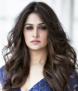 Dipika Kakar — Actress