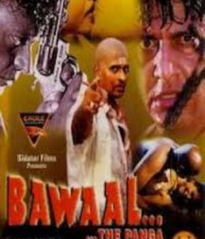 Bawaal (2003) movie poster