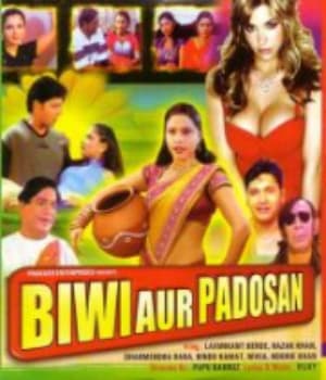 Biwi Aur Padosan (2001) movie poster