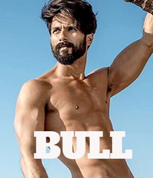Bull (2026) movie poster