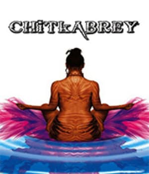 Chitkabrey – Shades of Grey (2011) movie poster