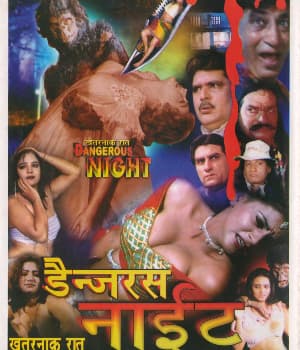 Dangerous Night (2003) movie poster