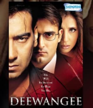 Deewangee (2002) movie poster