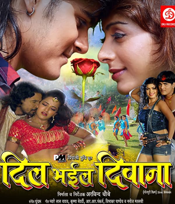 Dil Bhail Deewana (2015) movie poster