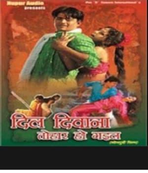 Dil Diwana Tohar Ho Gayil (2006) movie poster