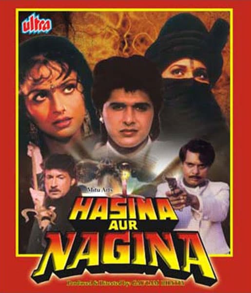 Hasina Aur Nagina (1996) movie poster