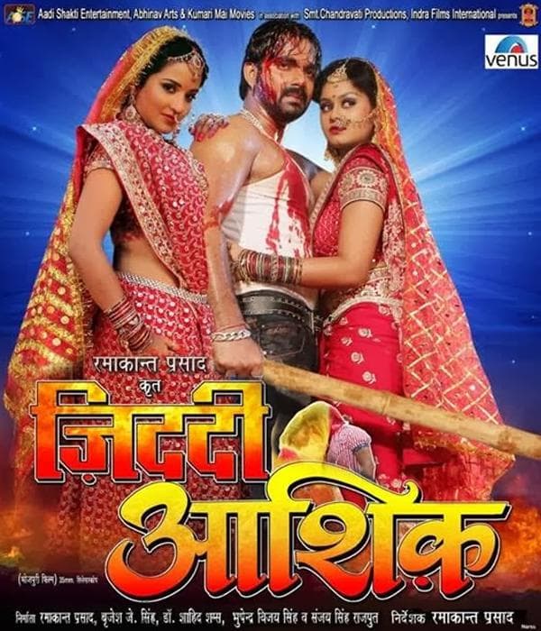 Jiddi Aashiq (2013) movie poster