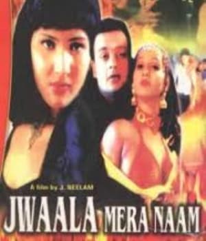 Jwala Mere Naam (2004) movie poster