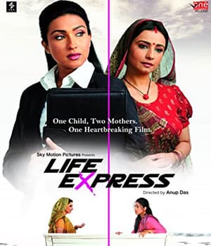 Life Express (2010) movie poster