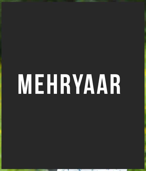 Mehryaar (2026)