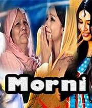 Morni (1975) movie poster