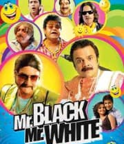 Mr Black Mr White (2019) movie poster