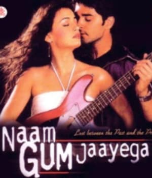 Naam Gum Jaayega (2004) movie poster
