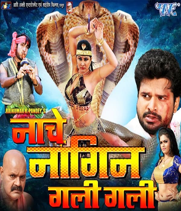 Nache Nagin Gali Gali (2018) movie poster
