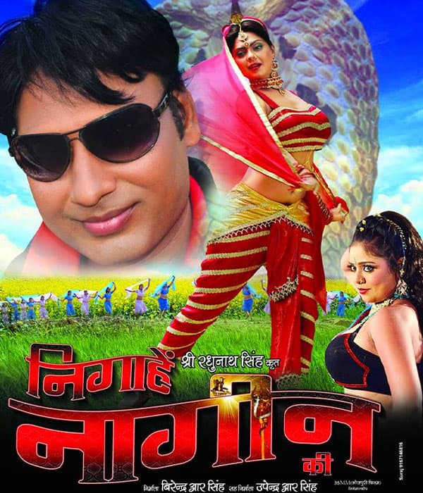 Nigahen Nagin Ki (2015) movie poster