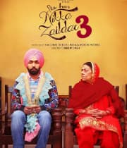 Nikka Zaildar 3 (2019) movie poster