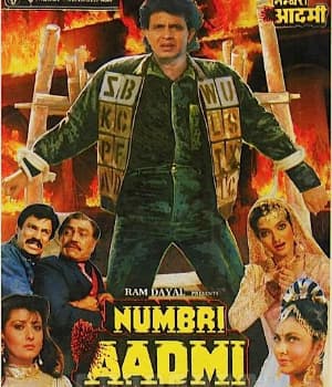 Numbri Aadmi (1991) movie poster