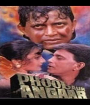 Phool Aur Angaar (1993) movie poster