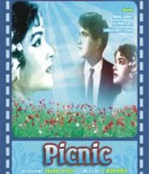 Picnic (1966) movie poster