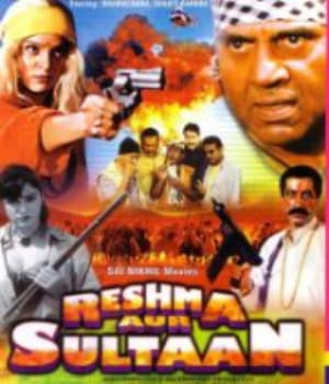 Reshma Aur Sultan (2002) movie poster