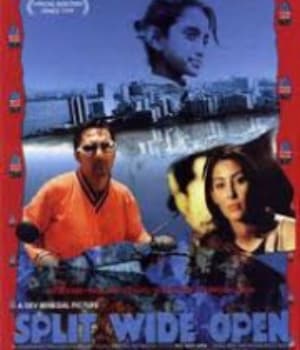 Split Wide Open (2000) movie poster