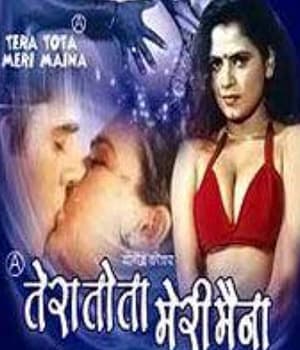Tera Tota Meri Maina (2002) movie poster