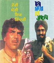 Teri Meri Ik Jindri (1974) movie poster