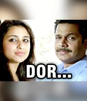 Dor