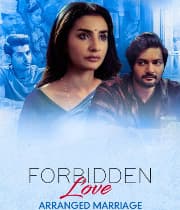 Forbidden Love (2020) poster
