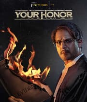 Your Honor Season 1 (2020) poster