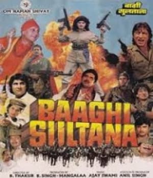 Baaghi Sultana (1993) movie poster