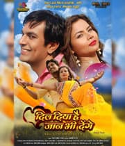Dil Diya Hai Jaan Bhi Denge (2019)