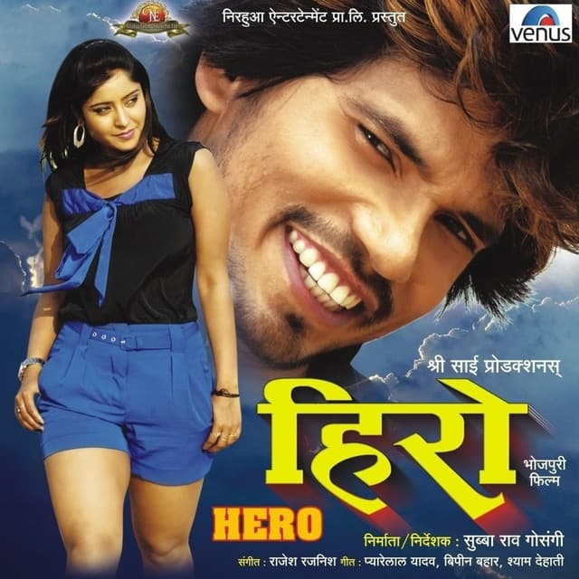 Hero (2012) movie poster