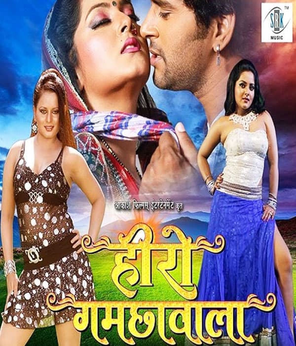 Hero Gamchawala (2016) movie poster