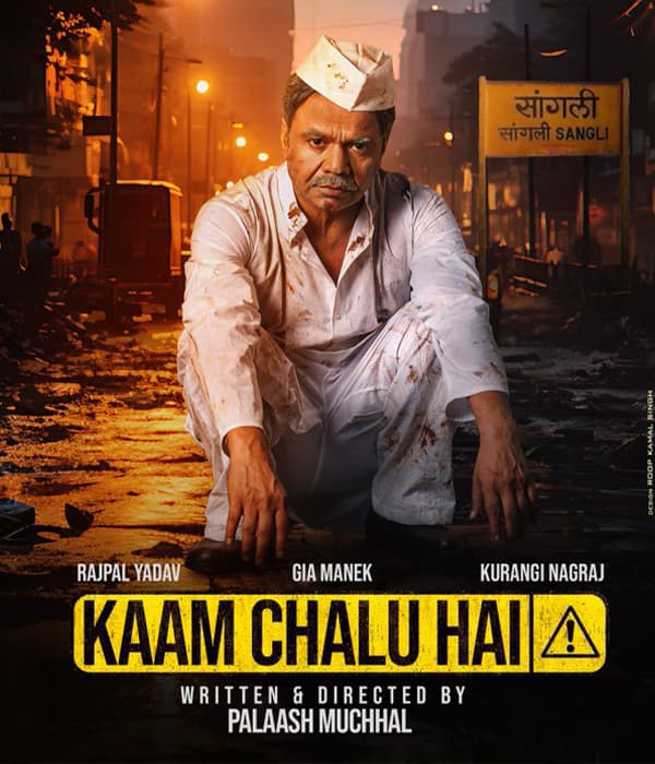 Kaam Chalu Hai (2024) poster