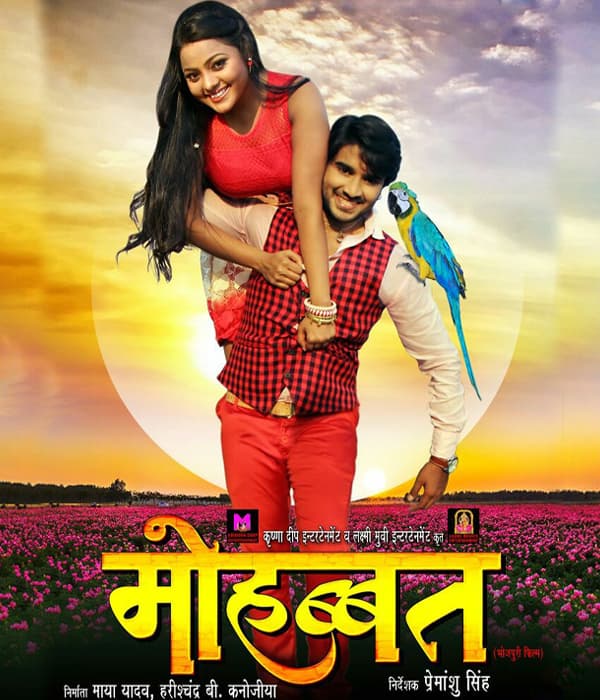 Mohabbat (2017) movie poster