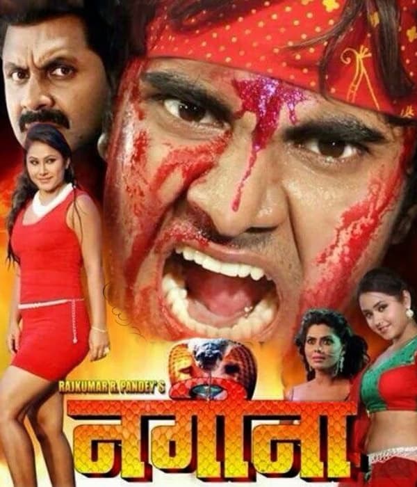 Nagina (2014) movie poster