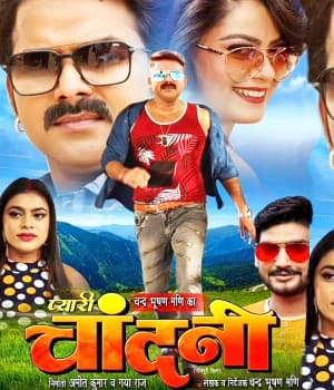 Pyari Chandni (2022) movie poster