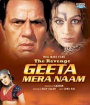 The Revenge: Geeta Mera Naam (2000) movie poster